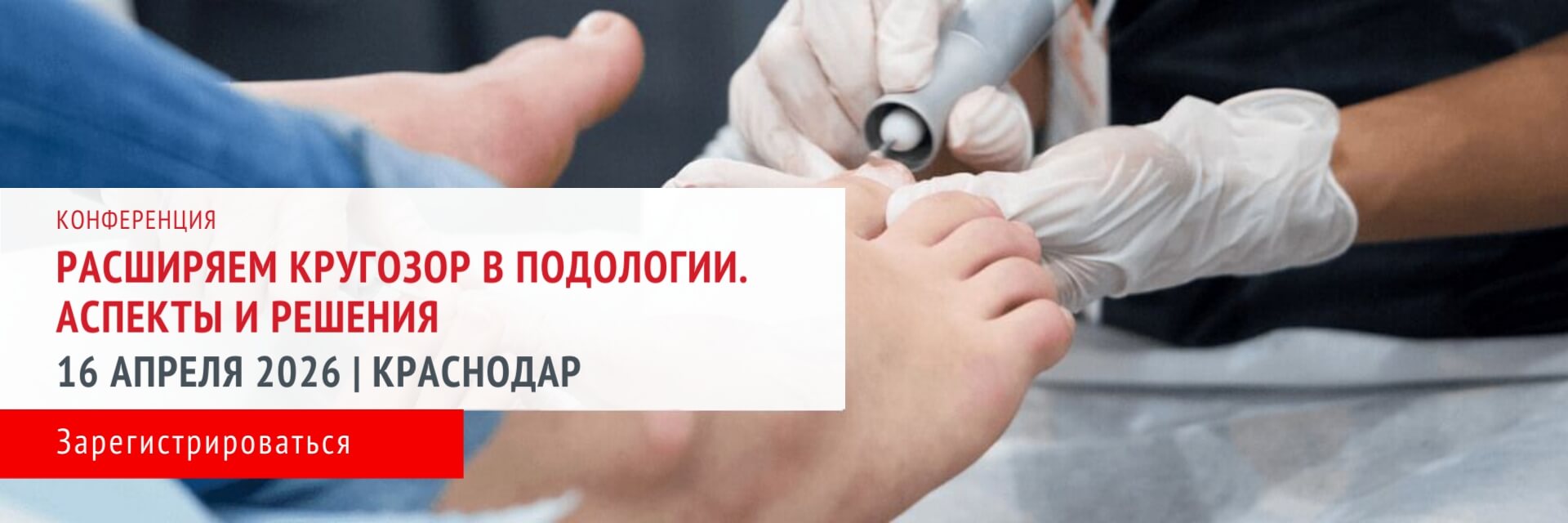 конференция в Краснодаре